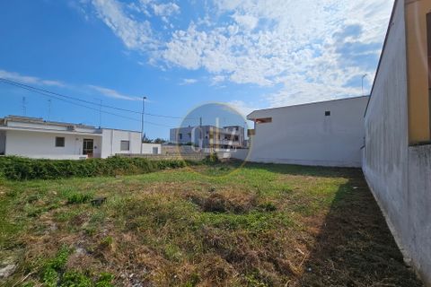 Terra a Melendugno, Lecce, Melendugno - € 65.000 | Ref: SE003 - foto 4
